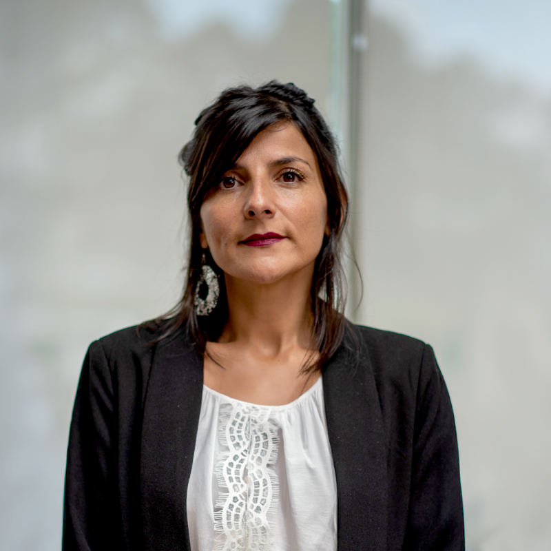 Irene Vélez. Ex Ministra de Minas y Energía y Directora de la ANLA